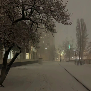 美女百分百裸体视频
