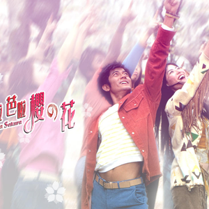 美女百分百裸体视频
