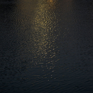 美女百分百裸体视频
